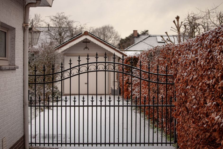 A decorative iron gate with hedges on either side.