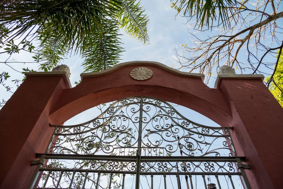 Ornate iron gate framed by trees under a blue sky